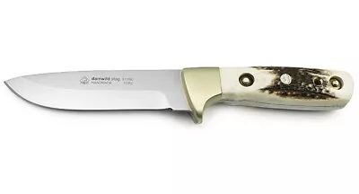 $315 • Buy PUMA IP Damwild Stag, Outdoor Hunter, Stag Hunting Knife 811180