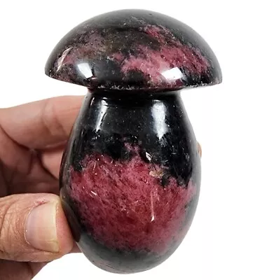 Rhodonite Crystal Polished Mushroom Stone 226 Grams. • $19.99