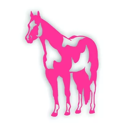 H PAINT Quarter HORSE Stallion Mare Decal For Tack Box Farm Truck Trailer PINK • $9.93