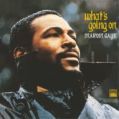 Marvin Gaye What's Going On (Vinyl) Back To Black • £24.06