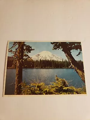 Mt St Helens Washington Postcard #24 • $3.75