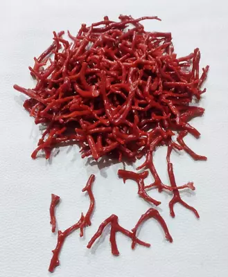 Italian Natural Red Coral Branch Mediterranean Sea Coral Gemstone 5 Piecs Lot • $37.49