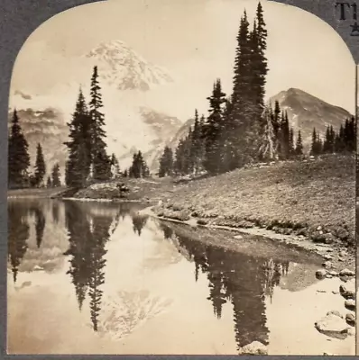 Indian Henry's Hunting Ground Mt. Rainier Park Washington.   Stereoview Photo • $3.99