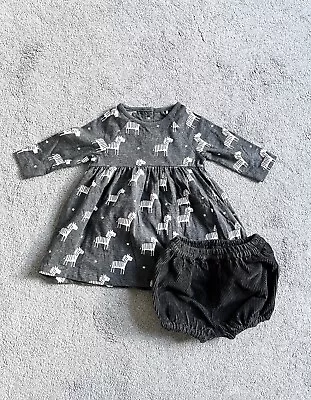 2 X Boots Mini Club Zebra Print Baby Girl Dress + Shorts Bundle 0-3 3-6 Months • £5