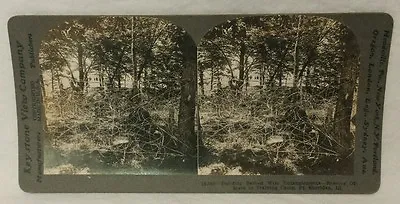 Keystone Stereoview Card WWI Ft. Sheridan IL Barbed Wire Entanglements Military • $8.99