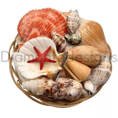 1 X Mixed Shell Basket Shells Natural Wicker Seashells Beach Craft Aquarium UK • £5.49