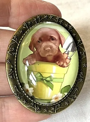 Cute Brown Labrador Puppy In Plant Pot Vintage Effect Cameo Brooch - BN • £11.99