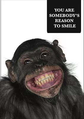 2024 Year Diary MONKEY WITH QUOTE A5 • $14.95