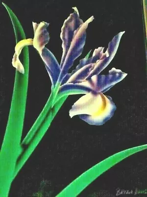 Brian Davis Print 'Iris 5' Framed & Matted • $29