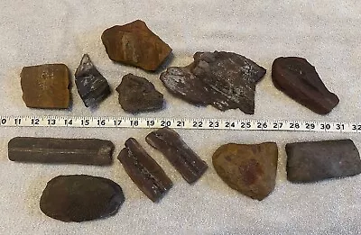 HUGE LOT MAZON CREEK FOSSIL LOT 12 Pieces- Plants Ferns Leaves 309M Years Old • $14.99