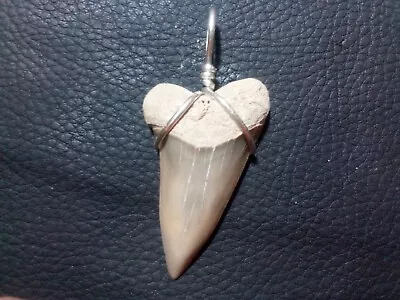 Beautiful 1.64 Mako Sharks Tooth Pendant With Sterling Silver Hand Wrapped Bail • $20.99