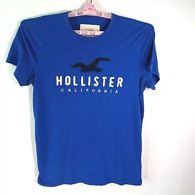 Hollister California Mens Crew Neck Short Sleeves Pullover Blue T Shirt Size M • $14.95