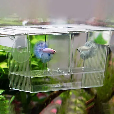 Fish Hatchery Isolation Net Fish Tank Aquarium Fish Breeding Breeder Box Baby  • $8.62