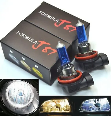 Rally H11 100W 5000K White Two Bulbs Head Light Low Beam High Watt Halogen Lamp • $12.82