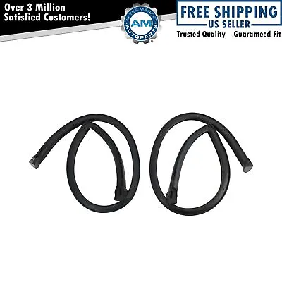 Roof Rail Rubber Weatherstrip Seal Pair Set RR 7003 For 82-92 Firebird Camaro • $65.99