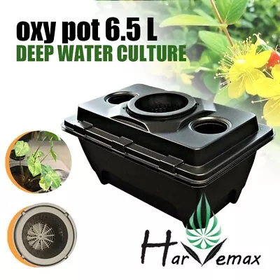 Oxy Pot 6.5 L DEEP WATER CULTURE SYSTEM • $185