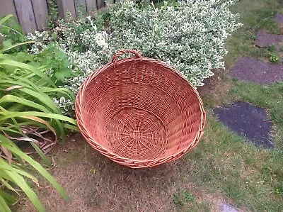 Vintage 1930 Large Wicker Laundry Basket-22  W X 22  D X 14  H; Missing A Handle • $68