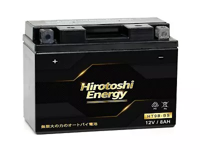 HT9B YT9B-BS Maintenance Free 12V Gel Battery For 01-05 Yamaha YZF R6 06-09 R6s • $47.99