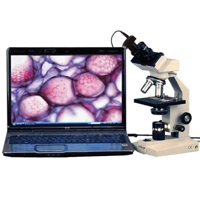 AmScope 40X-1000X Veterinary Compound Binocular Microscope + 5MP Digital Camera • $326.99