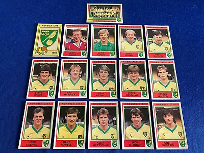 Panini Football 85 Stickers NORWICH CITY Complete Team Inc Badge Pro Recovered • £21