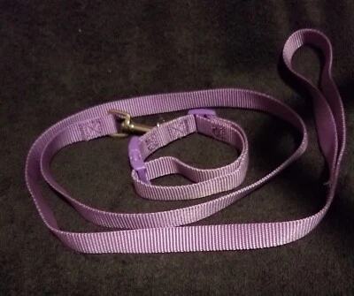 Zack & Zoey Ultra Violet ⅝  W Nylon Dog Collar For Necks 10-16  With 4' Leash • $14