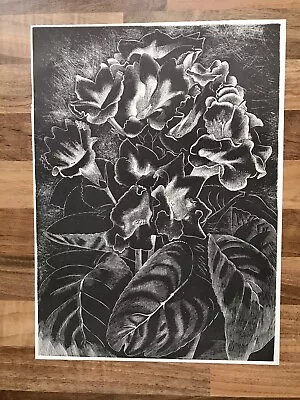 John Farleigh - ‘Gloxinia’ - Unframed Wood Engraving Print • £11.95