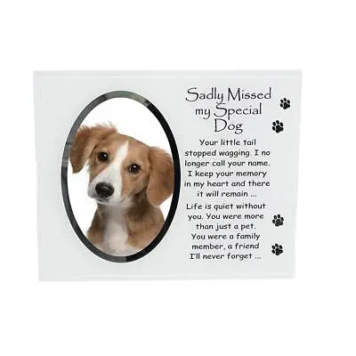 David Fischhoff Dog Memorial Glass Photo Frame Sadly Missed Pet Memory Keepsake • £9.99