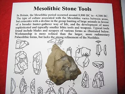 Mesolithic Flint Stone Age Tool Knife Scraper Awl Well Made UK Find #26 • $9.33