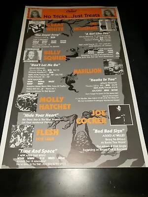 Marillion/Flesh For Lulu/Billy Squire Rare Original Radio Promo Poster Ad Framed • $60