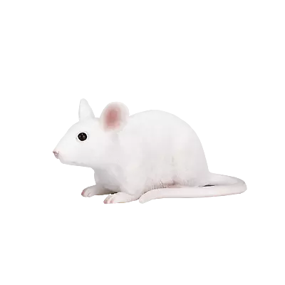 £6.95 • Buy Mojo WHITE MOUSE Cute Pet Farm Models Toys Plastic Figures Animals NEW