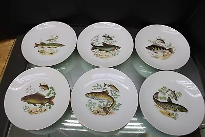 Vintage Lot Of 6 Bareuther Bavaria Germany Fish Design Gold Rimmed Plates • $59.99