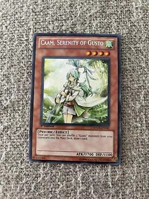 Caam Serenity Of Gusto (HA05-EN041) - NM 1st Edition • $1.11