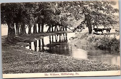 Postcard PA Mifflinburg - The Willows • $7.99