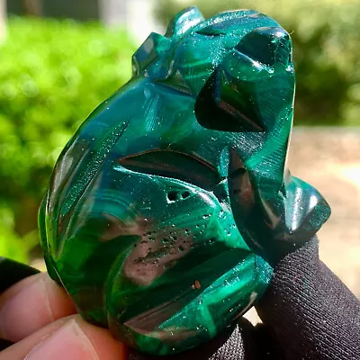 87G Rare Natural Malachite Quartz Hand Carved Frog Crystal Healing • $1.99