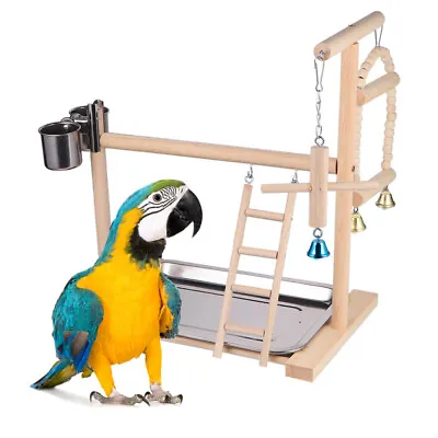 Bird Play Stand Parrot Playstand Cockatiel Playground Wood Perch Gym Toys AUS • $26.99