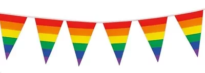 Rainbow Pride 10 Metre With 20 PVC Triangular Pennant Bunting Pride Month/Events • £2.75