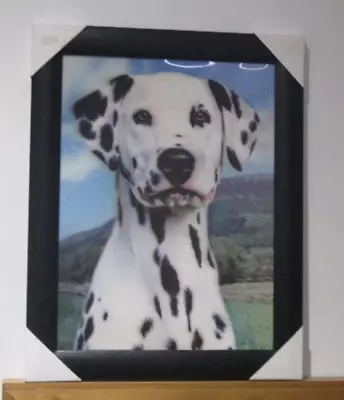 Framed Hologram Dog Picture Of A Dalmation Dog 47cm In Height • £14.99
