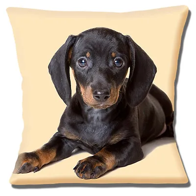 £10.95 • Buy BLACK TAN BROWN DACHSHUND PUPPY PHOTO PRINT CLOSE UP 16  Pillow Cushion Cover