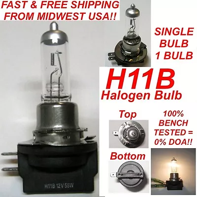 12V 55W H11B Halogen OEM Replacement Headlight Bulb Crystal Clear Standard Color • $7.98