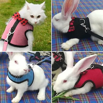 Small Pet Puppy Dog Kitten Guinea Pig Rabbit Mesh Harness Lead Leash Collar Set • £6.99