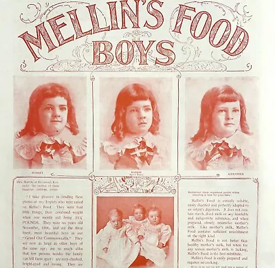 Mellin's Food Boys Pictorial 1897 Advertisement Victorian XL Non Dairy DWII6 • $39.99