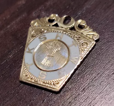 Antique 10K Gold Enamel Royal Arch Masonic Watch Fob Pendant Scrap Scrap Price • $86.98