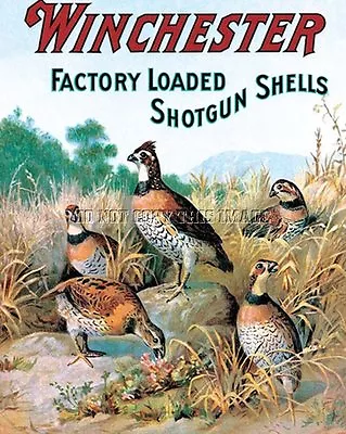 Antique Upland Hunting Winchester Repro Bobwhite Quail  Print • $11.99