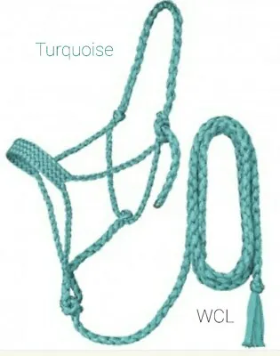 Tough 1 Turquoise Mule Tape Halter With 10 Ft Lead Rope  Western Horse Tack • $32.99