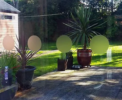 6  Meters FROSTED GLASS EFFECT SAFETY WINDOW MANIFESTATIONS  CIRCLES 50MM DOTS • £12
