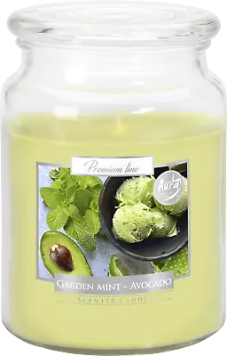 18 Oz Premium Line Large Scented Candle Glass Jar Fragrance Home Gift Xmas 100 H • £10.97