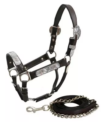 Brown Leather Silver Show Halter W Matching Lead Yearling COB Horse Size 161125 • $54.94