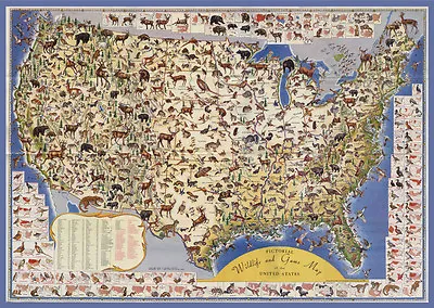 $60 • Buy Designer Decoration Poster.America Wildlife Game US.Map.Room Decor Print.q512