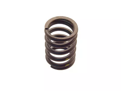 Valve Spring 96PFSG85 For Golf Beetle Jetta Passat Rabbit CC Eos GTI Tiguan • $49.77