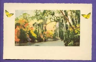 E G Barnhill NOS Old Florida FL Print Color Card Germany Heron Water Moss Tree • $1.95